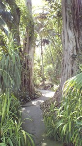 HUNTINGTON_LIBRARY (370)