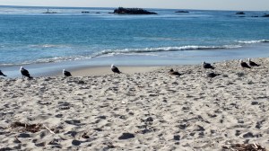 CHILL'AXXXING WITH THE HOMIES