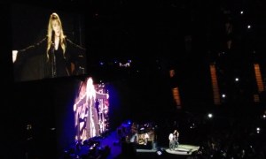 FLEETWOOD_MAC CONCERT (2)