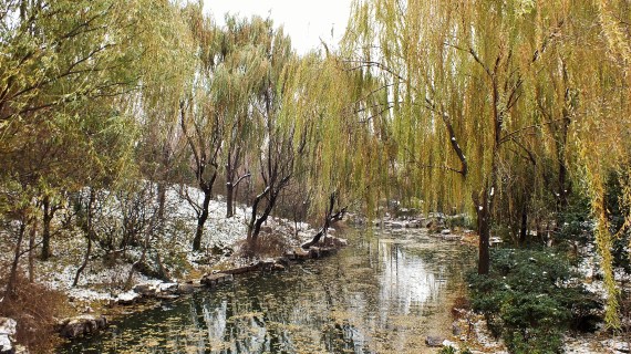 Eruption [&amp; You!]