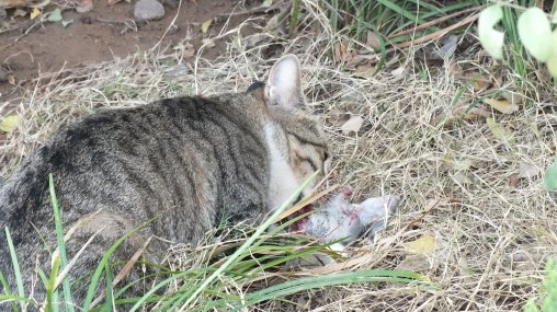 The Sun Has Set At Spotlight Sunshine