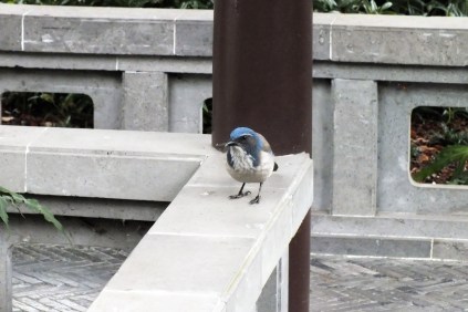 PORTLAND_ (278)_Sorry Not Sorry