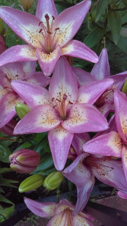 The Gift that Keeps on Giving