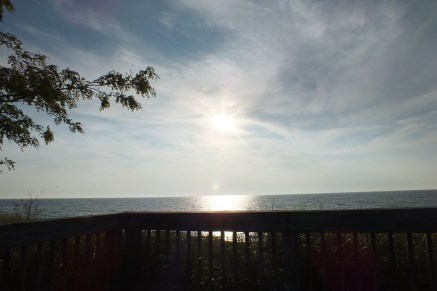 SAUGATUCK_DOUGLAS, MI (156)