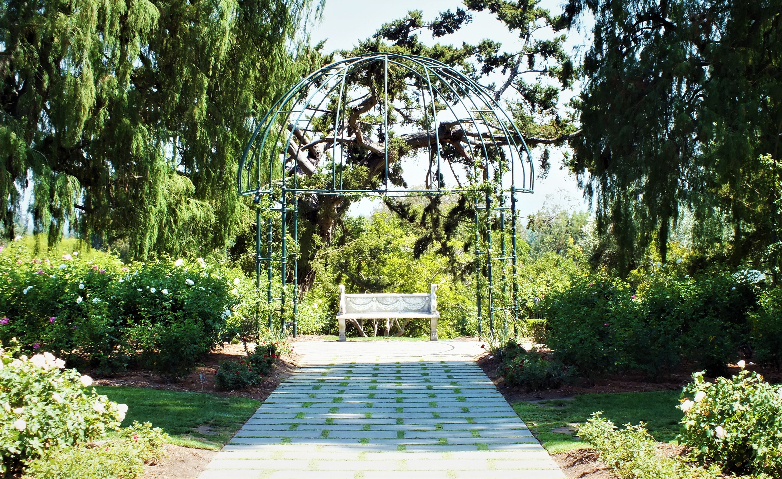 HUNTINGTON_LIBRARY (322)