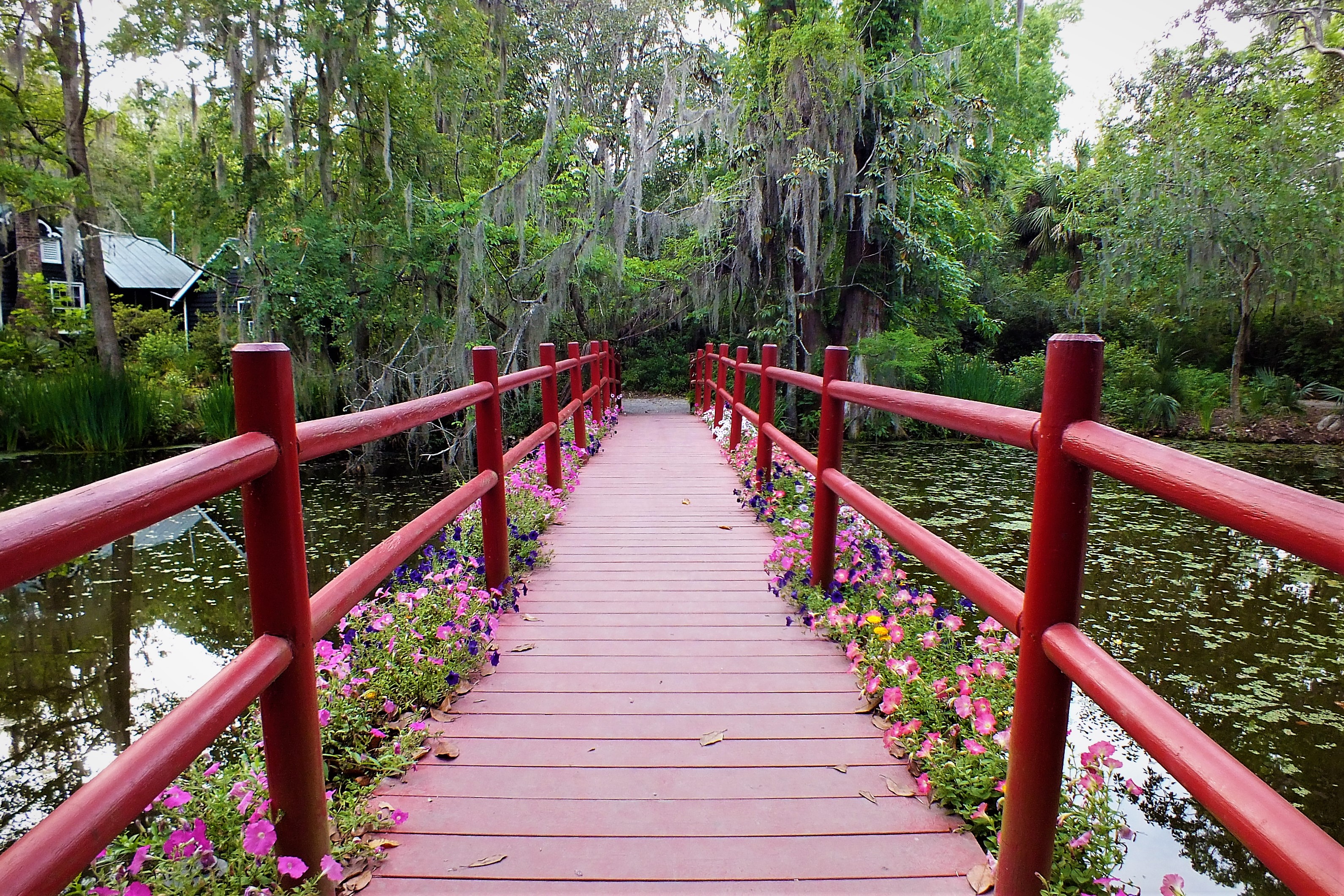 Red Bridge_Magnolina Plantation_SC