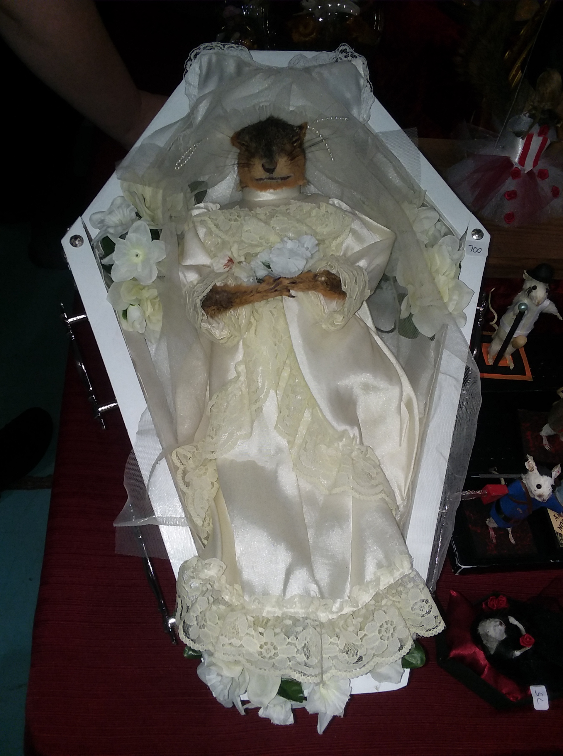 ODDITIES &amp; CURIOSITIES EXPO (1)